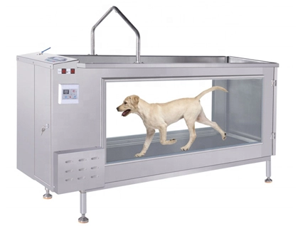 PJ-1901 CE genehmigt Tier Wasser unter Wasser Laufband für Hunde