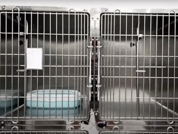 PJML-02 4 Türen Edelstahl Veterinär Recovery Cat Cage