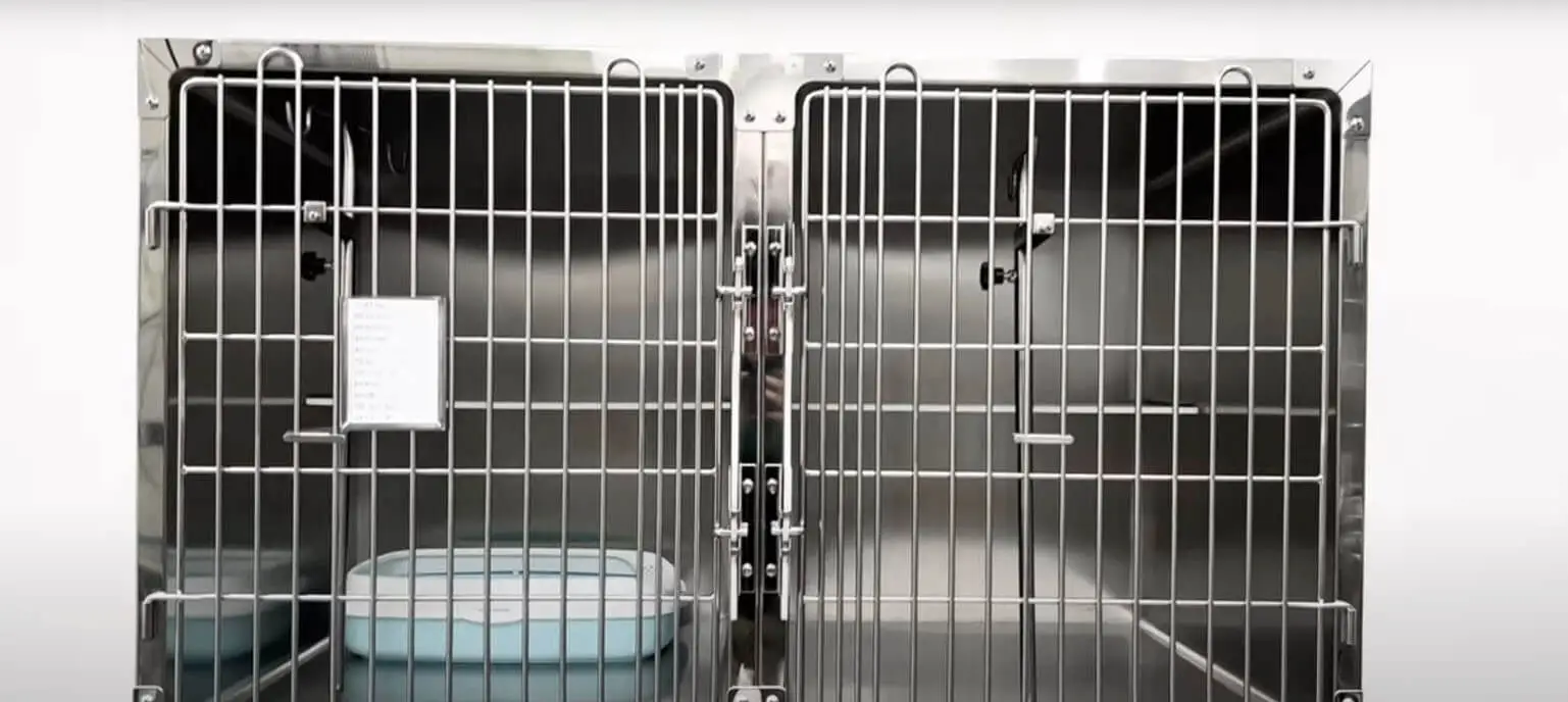 Tierarzt Katzen käfig Anzeige Video